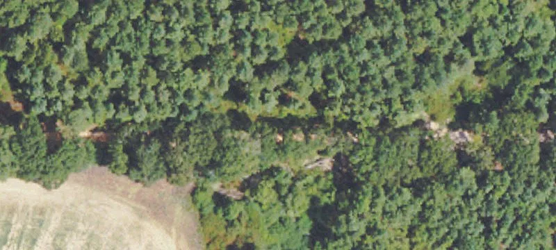 Land Parcel in Wiggins, MS