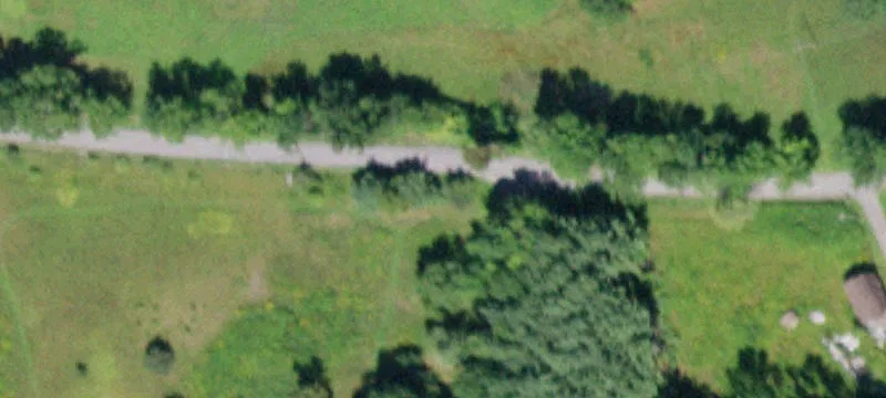 Blenheim Land with Log Home
