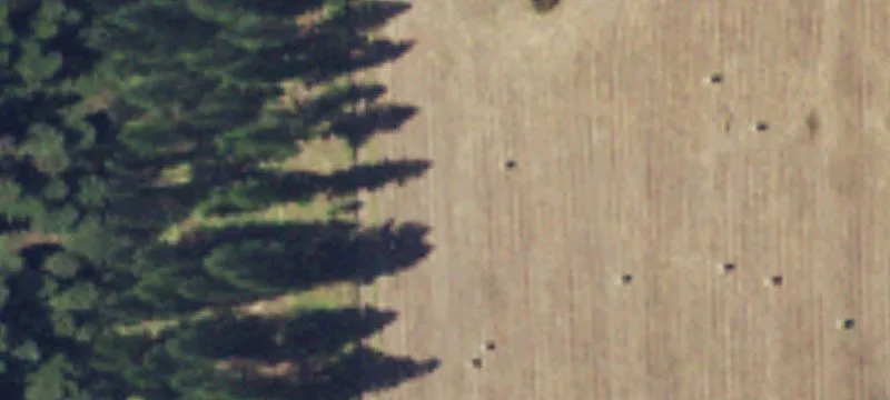 Pastoral Acreage in Rural Setting
