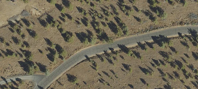 Buildable Lots with Panoramic Views