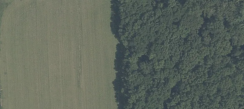 162 Acre Woodland Property