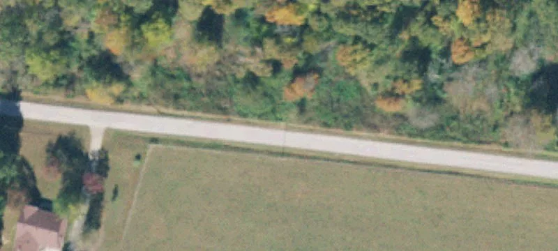 Level Wooded Land For Sale