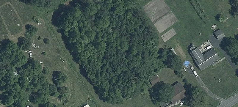 Land For Sale in Pittsville