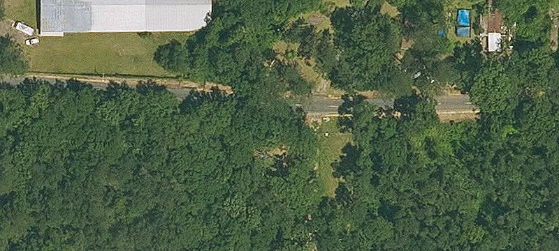 Wooded Acreage Near Ponchatoula