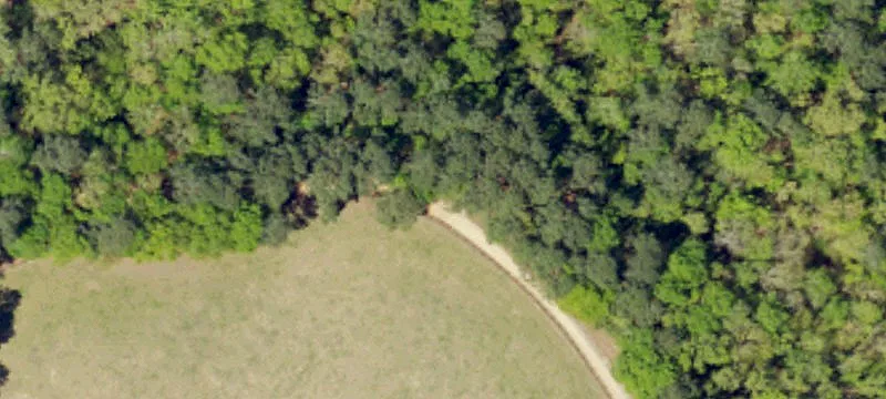 Aiken Land with Equestrian Potential