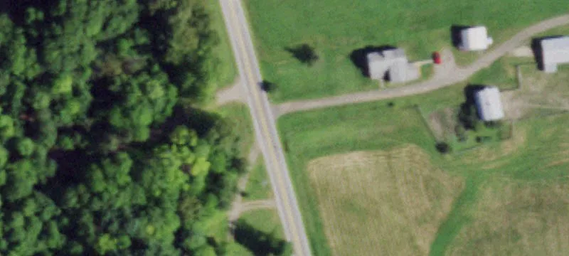 Wooded Land with Natural Spring