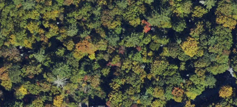 Cross Creek Preserve Mountain Parcel