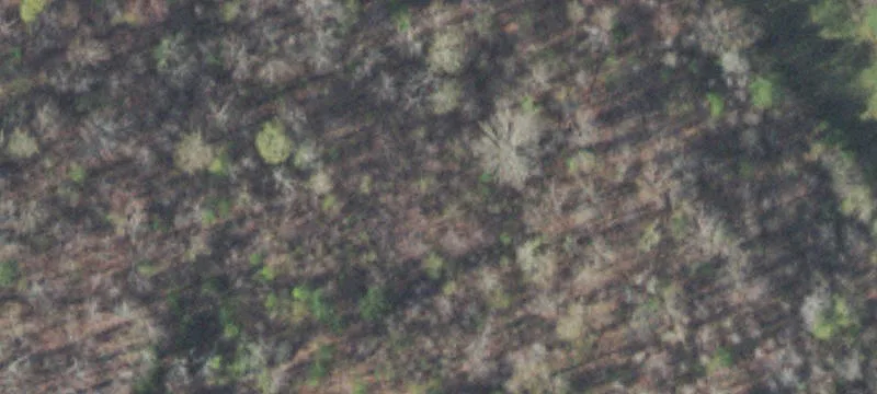 135.9 Acres in Athens, Tennessee