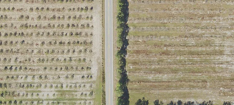 Land Parcel on Old Stokes