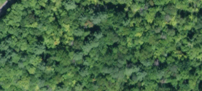 Land with Hunting Cabin