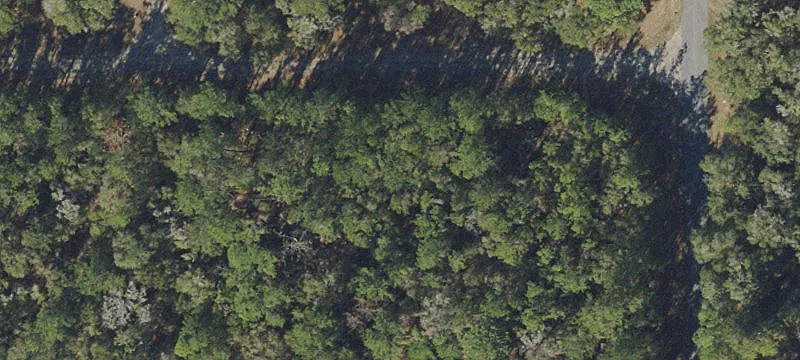 Citrus Springs Land For Sale
