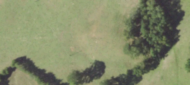 Ranch Property on Spacious Homesite
