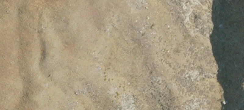 Land for Sale in Tehachapi