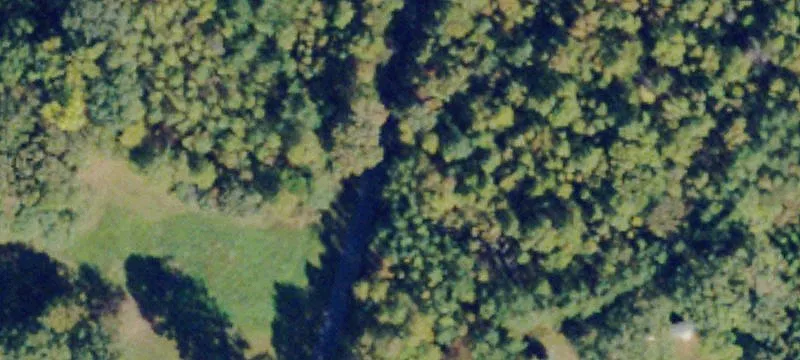 Wooded Acreage with Lake Access