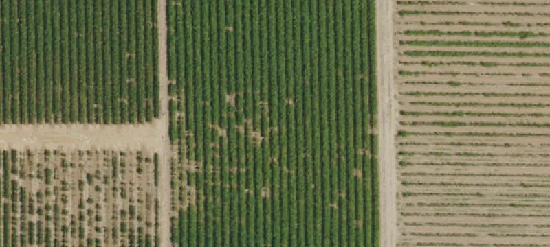 Land on Jahant Road, Galt