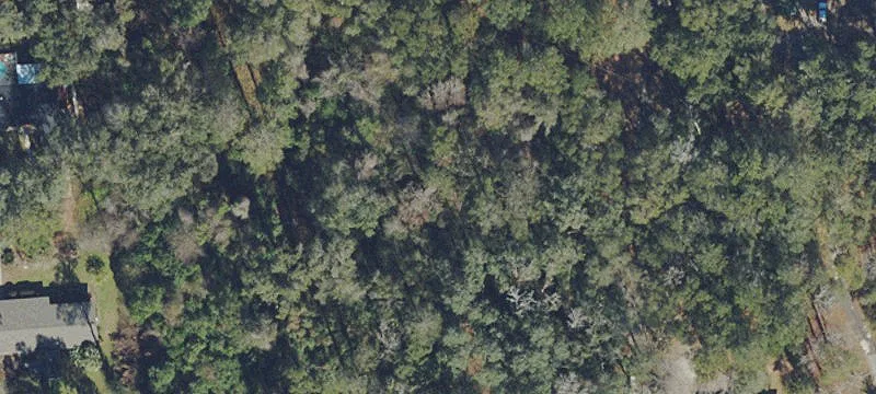 Gainesville Land For Sale