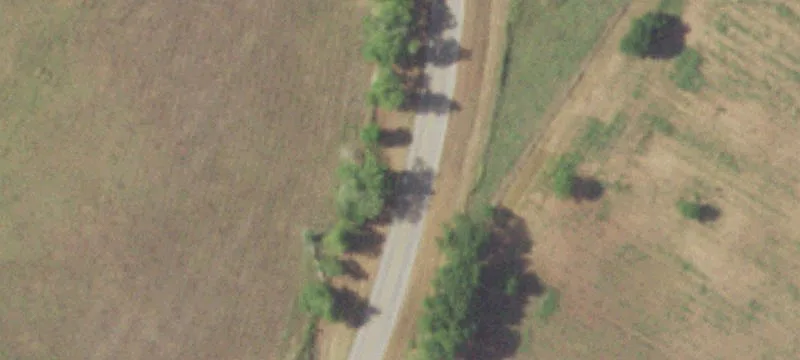 19.5 Acres of Land