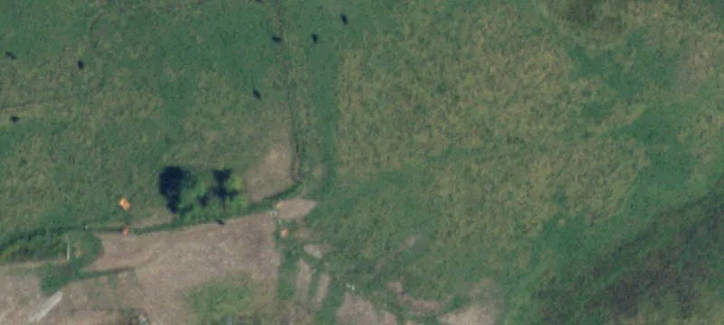 Creek Front Land with Orchard