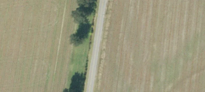 Haywood County Estate Tracts