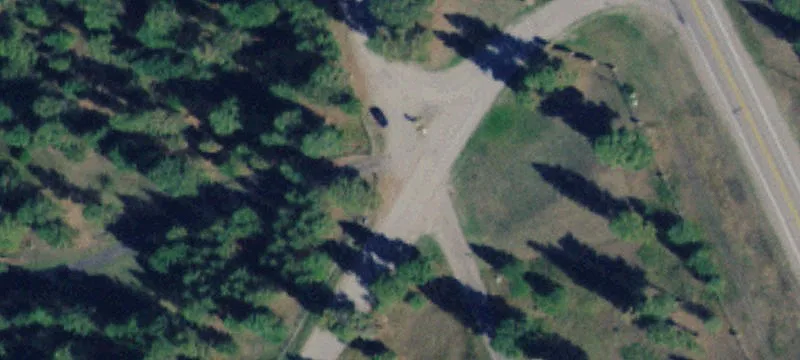 Heavily Timbered Land Near Lake