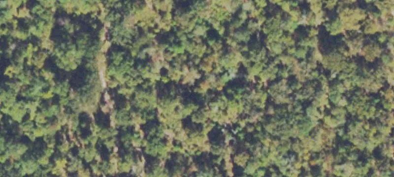 Development Tract in Macon, GA