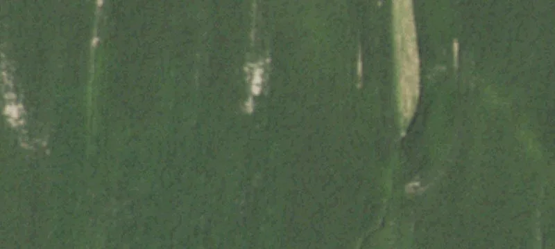 60 Acre Hunting and Agricultural Land