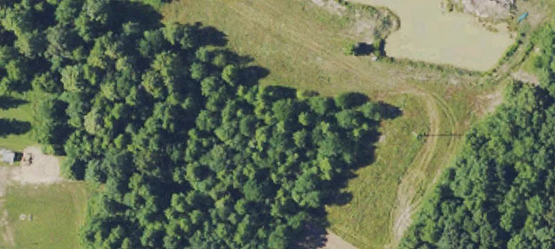 Wooded Property for Residential Development