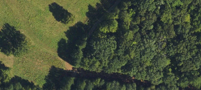 Pristine Wooded Acreage For Sale