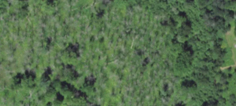 Residential Land in New Subdivision