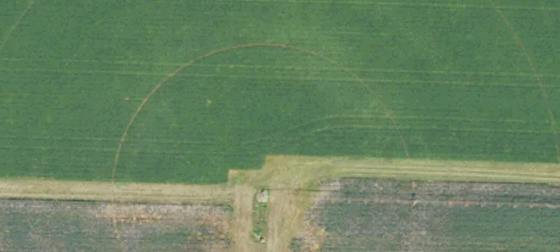 110 Acres Hunting/Recreational Land Georgia