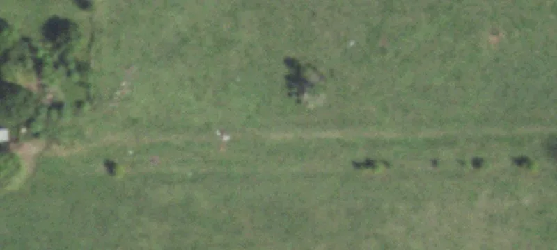 92.89 Acres of Lush Pasture