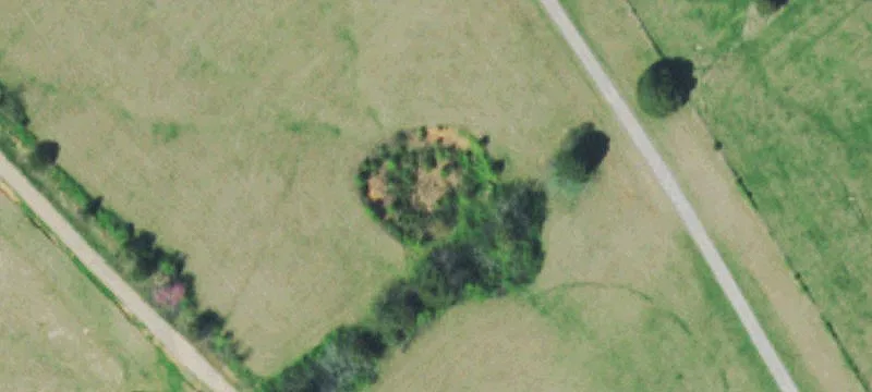 Madisonville Land with Camping Trailer