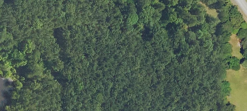 Wooded Lot Near Toledo Bend