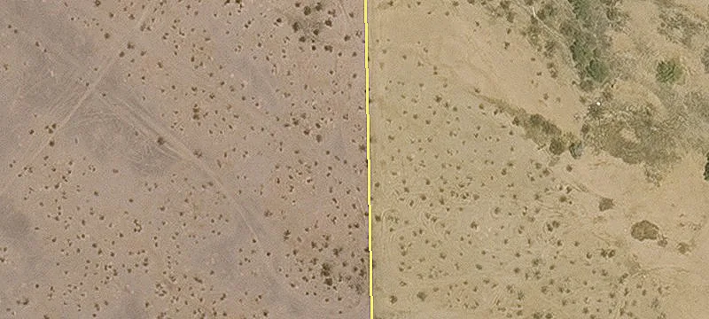 Land Parcel with Survey