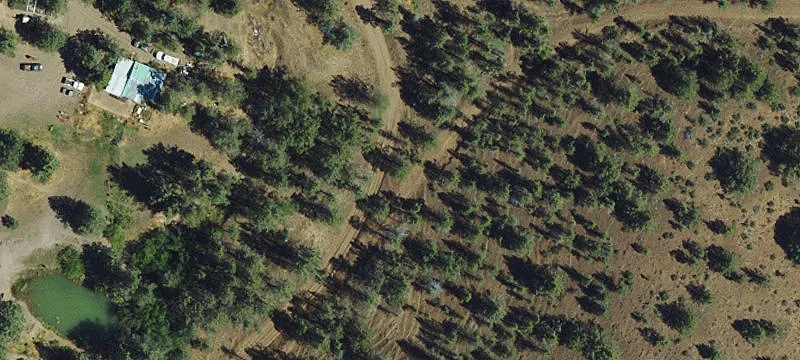 320 Acres of Hunting Land