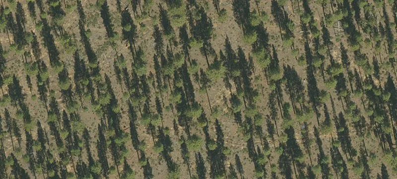 Caldera Springs Homesite Opportunity