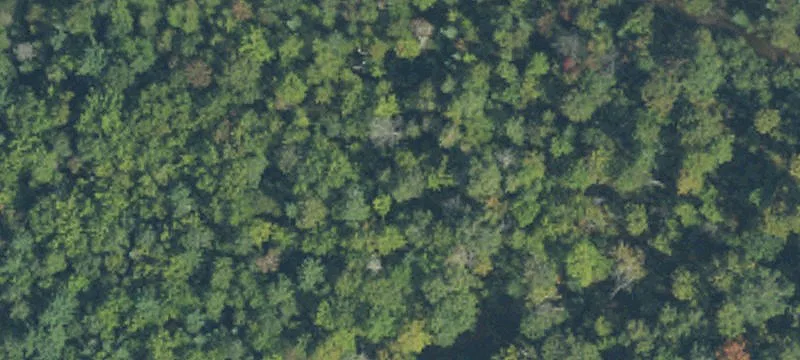 Spacious Roscommon County Land Parcel