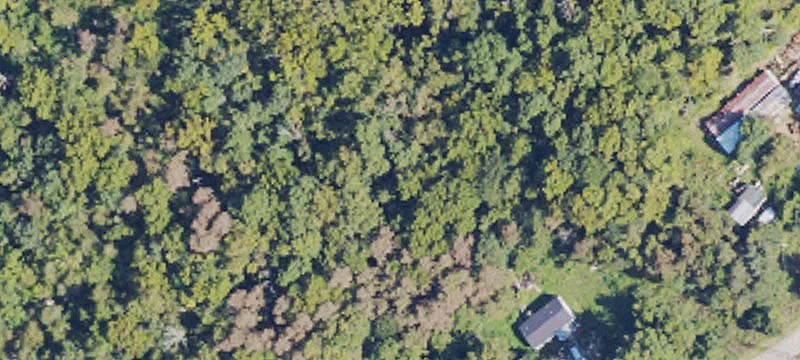 51.5 Acre Recreational Farm Retreat