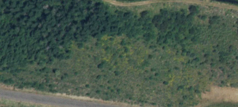 Conant Creek Ranch Land