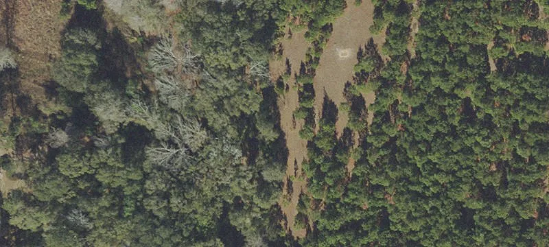 Versatile Buildable Land Parcel