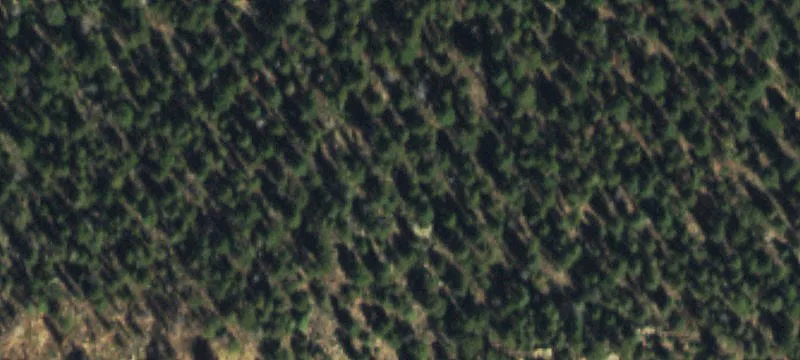 Richmond Hill Vacant Land Opportunity