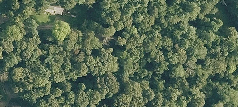 Secluded Recreational Land in Westmoreland