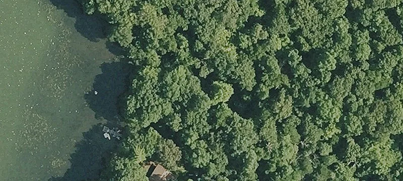 Land Near Mt. Tom Pond