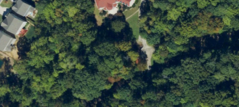 Apex Wooded Estate Homesite