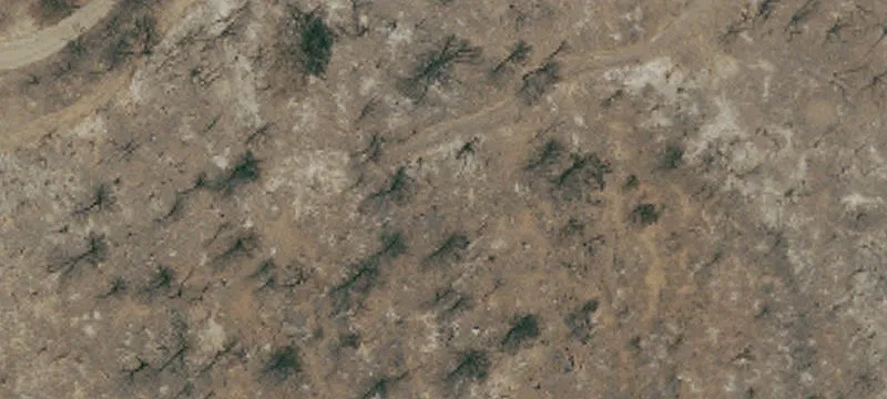 Sierra Foothill Land with Views