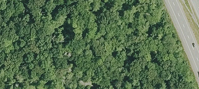 8.5 Acre Raw Land Lot
