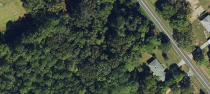 Wooded Lot For Sale