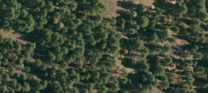 Land For Sale Truckee