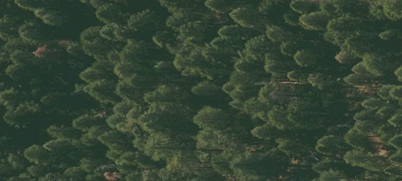 Pioneer, CA Residential Land Parcel