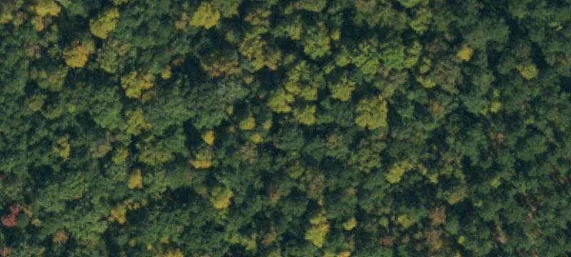 Wake County Land Opportunity